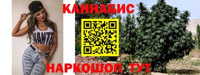 дживик Ачхой-Мартан