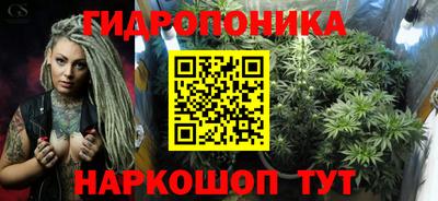 дживик Ачхой-Мартан