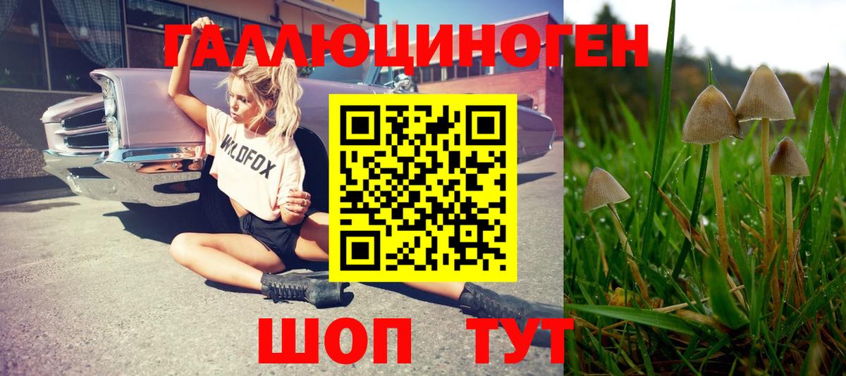 Галлюциногенные грибы Cubensis Архангельск
